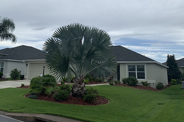 3157 Eastfield Path, The Villages, FL 32163 - The Village of Gilchrist